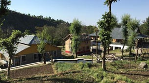 Palampur Tour