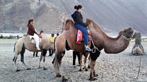 Double Humped Camel Ride