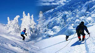 Shimla
